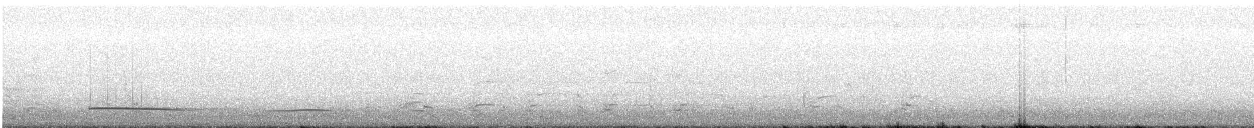 Black Scoter - ML628423207