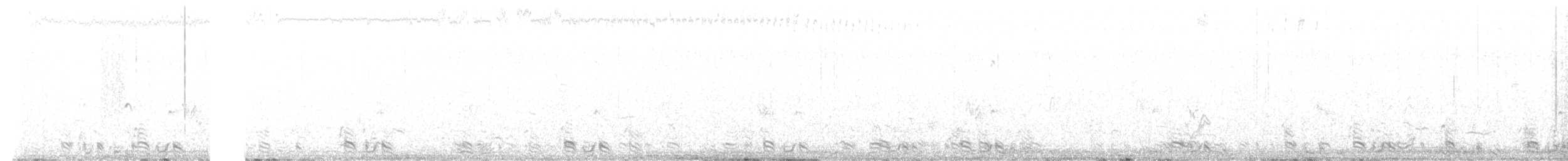 Kılkuyruk Çayır Tavuğu - ML628423621