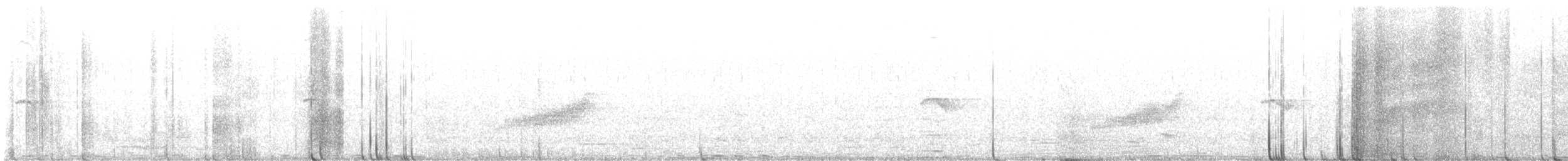 Long-tailed Koel - ML628425314
