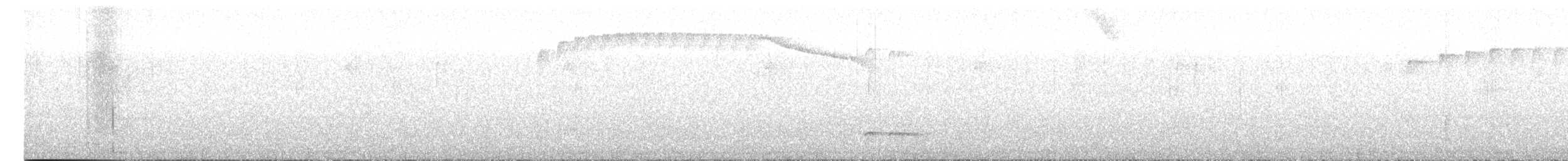 Chami Antpitta - ML628429177