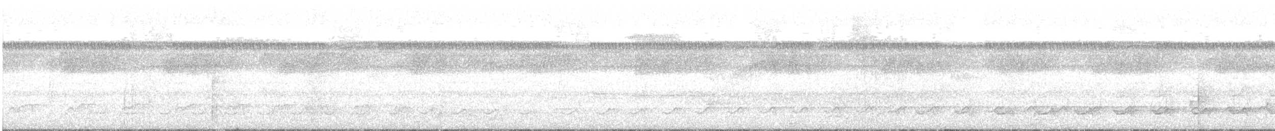 Spotted Puffbird - ML628438438