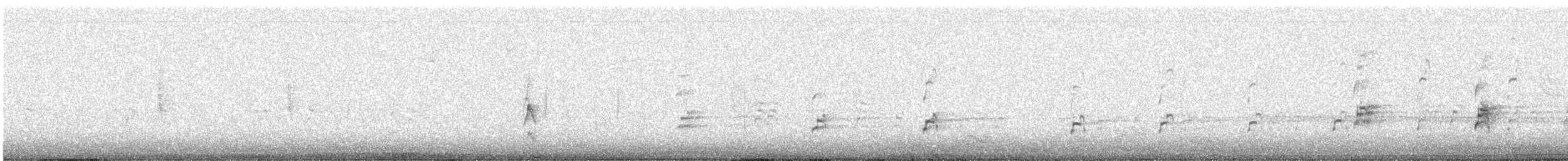 American Avocet - ML628446734