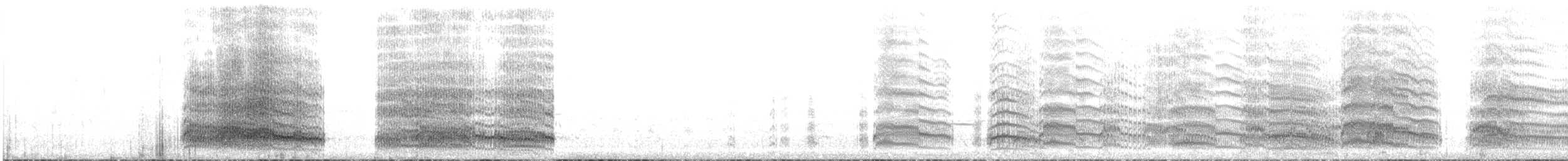 Brown-hooded Gull - ML628447826