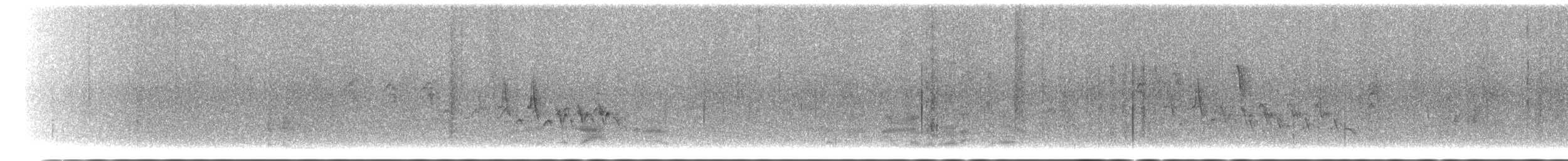 Southern House Wren - ML628450696