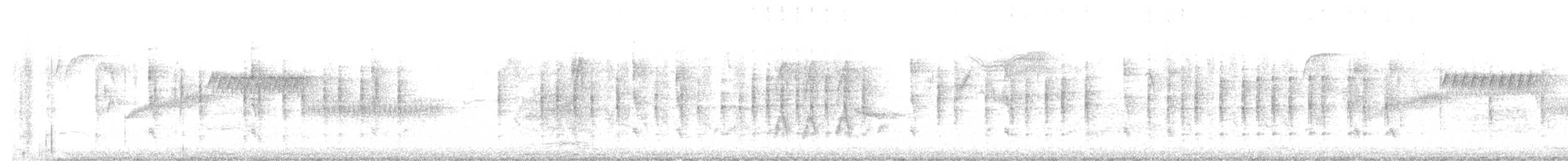 Troglodyte de Baird - ML628452122