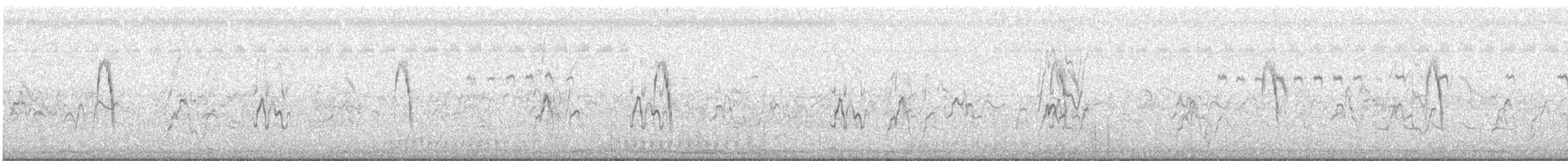 sitronerle - ML628466924