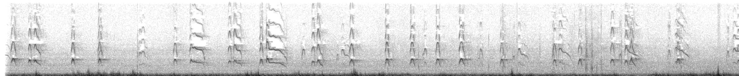 オーストラリアクロミヤコドリ - ML628469492