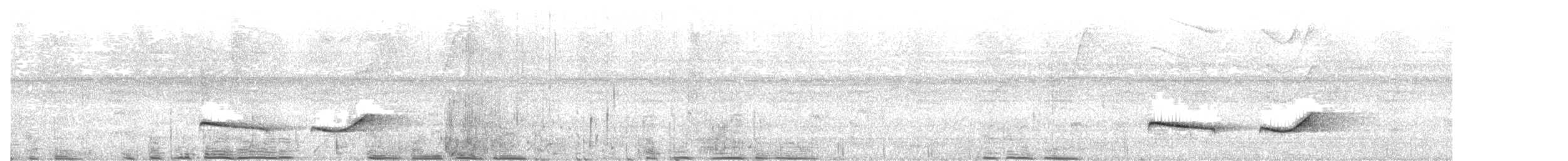 Varzea Schiffornis - ML628470796