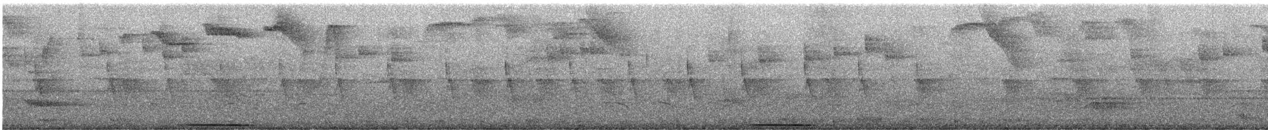 White-tipped Dove - ML628472296