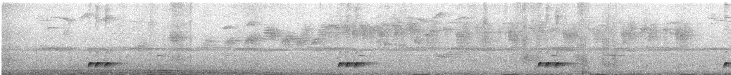 Schwartz's Antthrush - ML628472482
