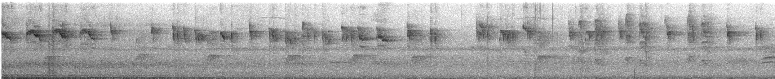 Venezuelan Bristle-Tyrant - ML628472499