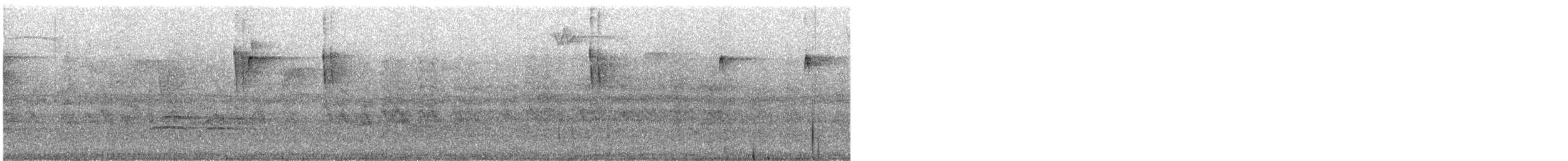 Red-eared Parakeet - ML628472587