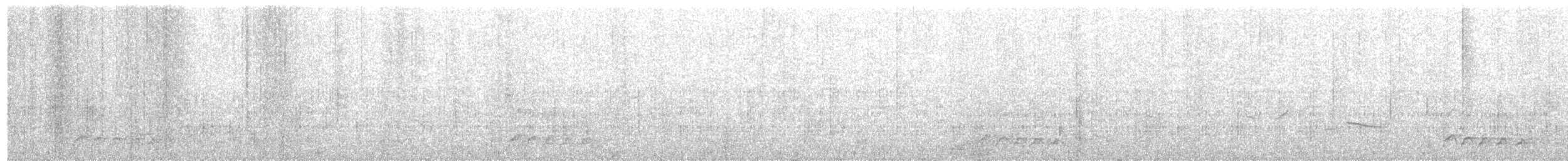 ボウシゲラ - ML628472853