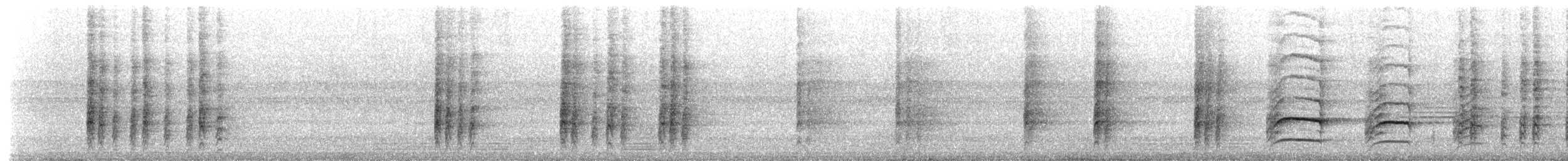 Bay Woodpecker - ML628479716