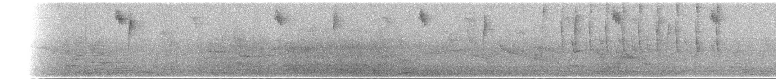 Colibri cora - ML628482101