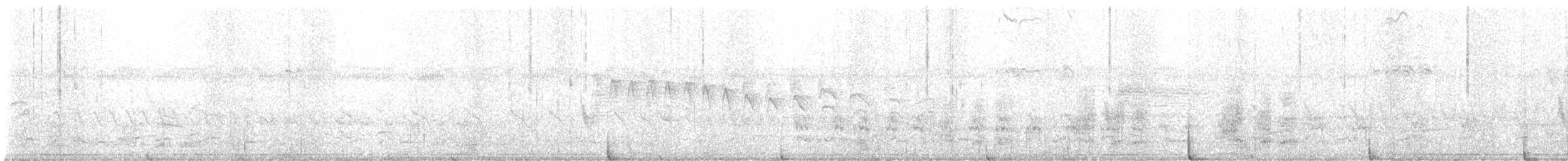 leskot yukatanský - ML628485459