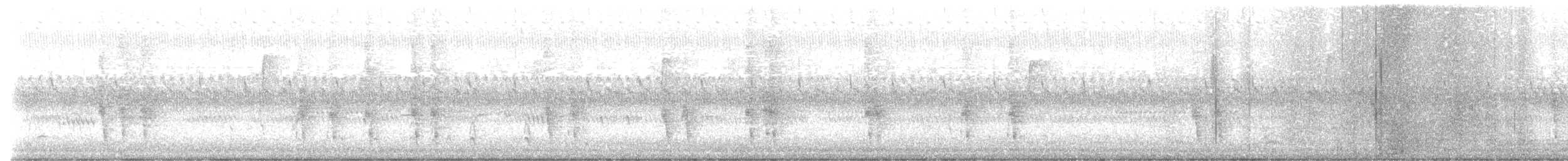 Hermit Thrush - ML628485931