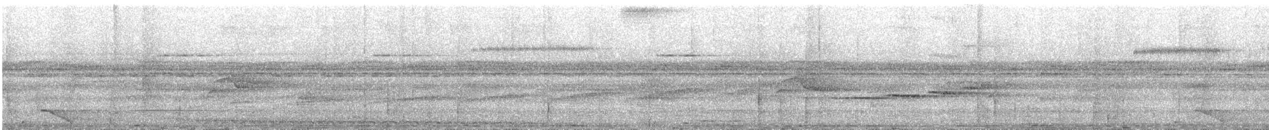 Zimmer's Antbird - ML628489902