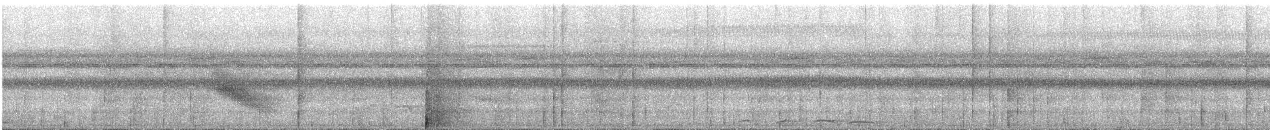 White-crowned Manakin - ML628489939