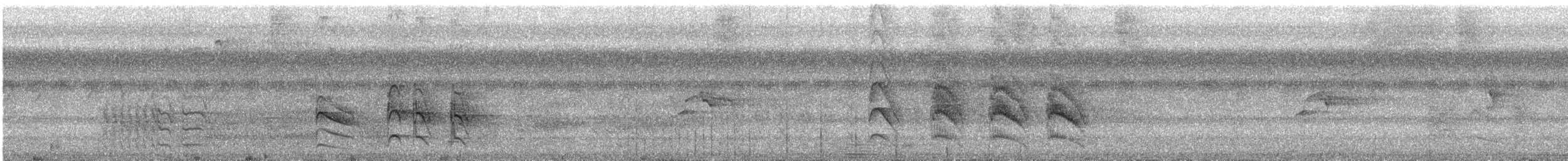 Dusky-chested Flycatcher - ML628490299