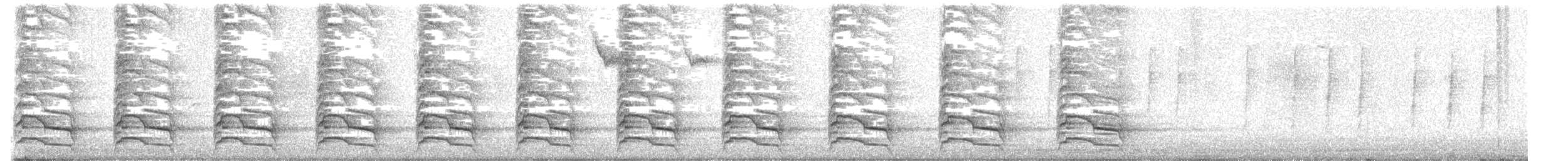 カタアカノスリ（elegans） - ML628502910