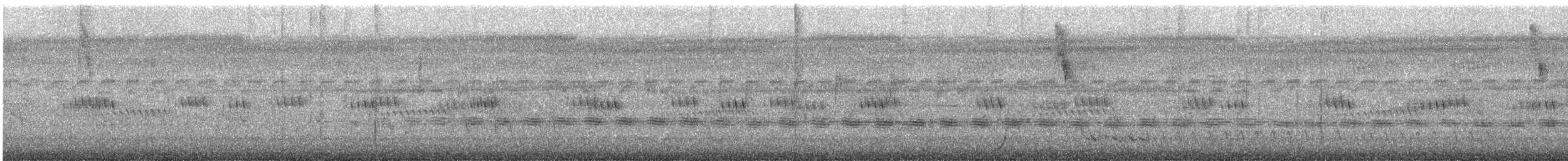 Sahul Cicadabird - ML628503656