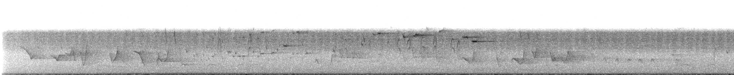 Graufächerschwanz (alisteri) - ML628511358