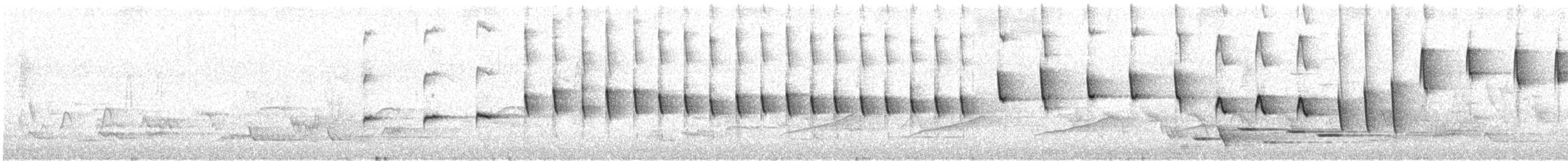 South Island Robin - ML628514270