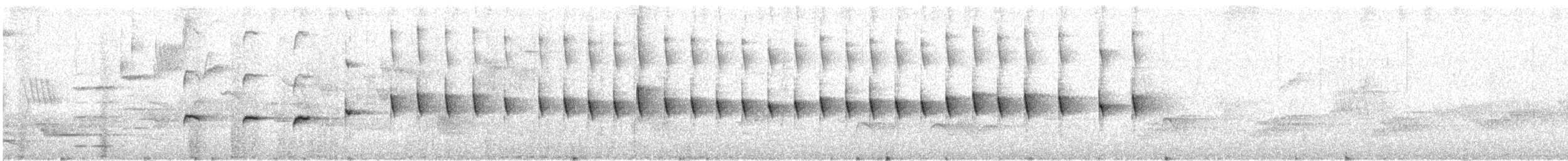 South Island Robin - ML628514271