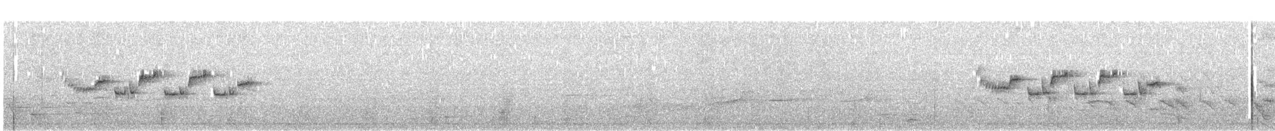 Tomtit (New Zealand) - ML628516264