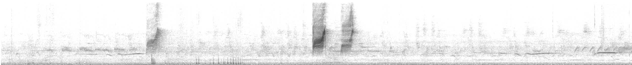 Paperbark Flycatcher - ML628518040