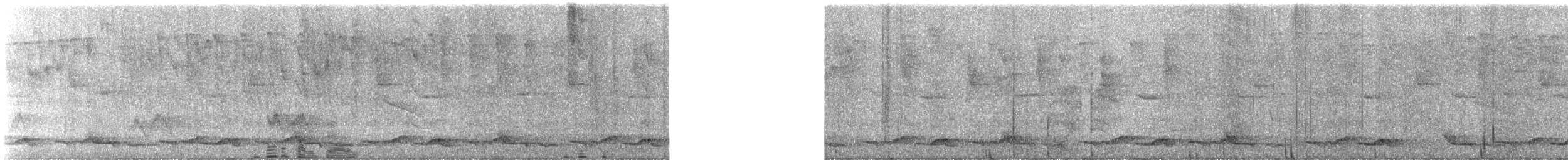 Spotted Wood-Quail - ML628518199