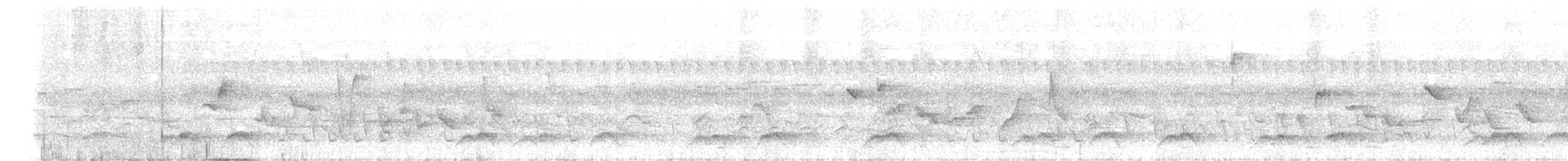 Ashy-bellied White-eye (Ashy-bellied) - ML628519062
