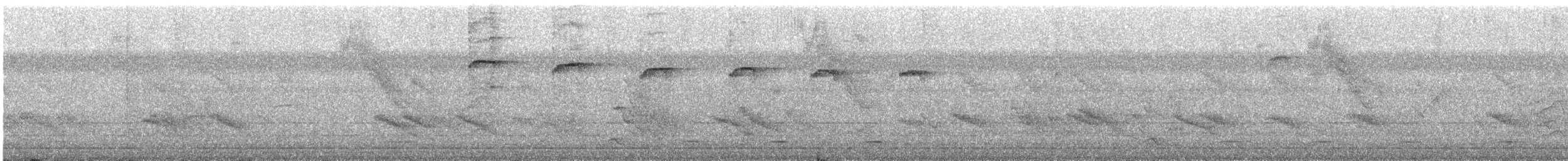 Scaled Piculet - ML628526945