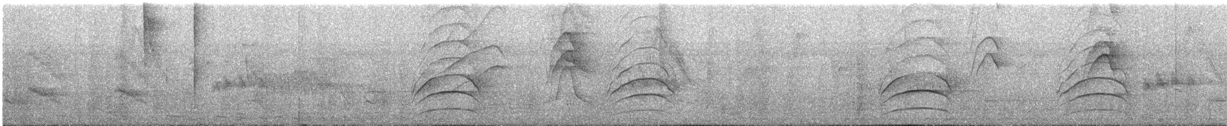 Great Kiskadee - ML628526970