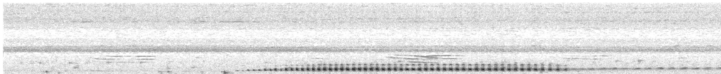 Long-tufted Screech-Owl - ML628528348