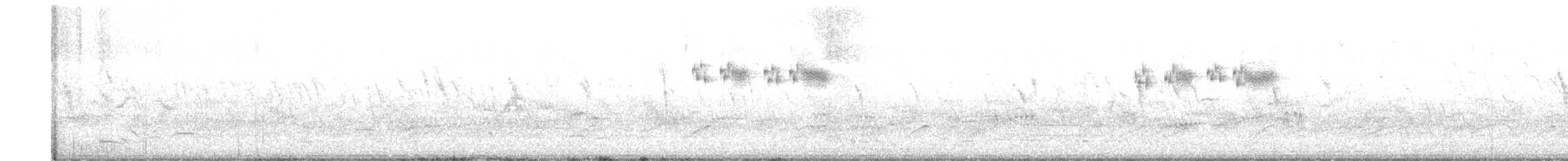 West Himalayan Bush Warbler - ML628529261