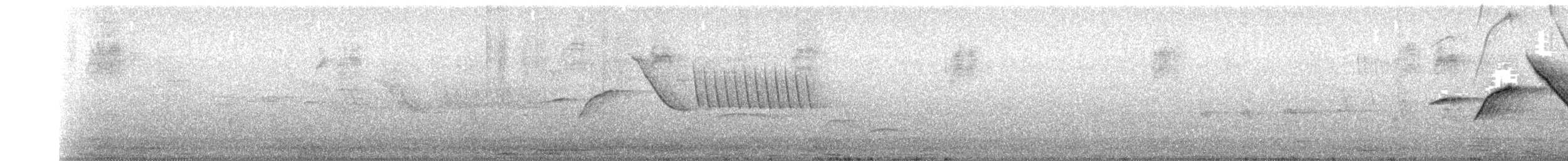 Rufous-collared Sparrow - ML628533802