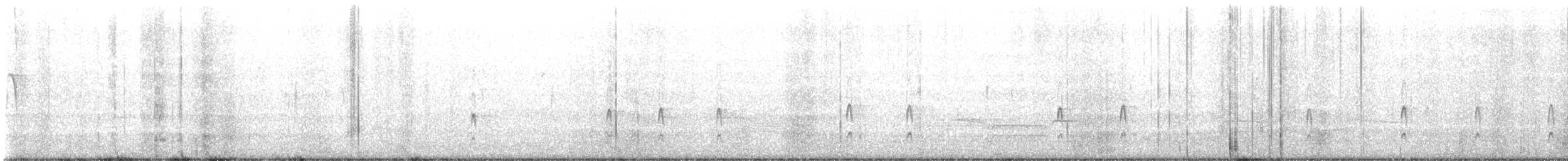 Couch's Kingbird - ML628539504