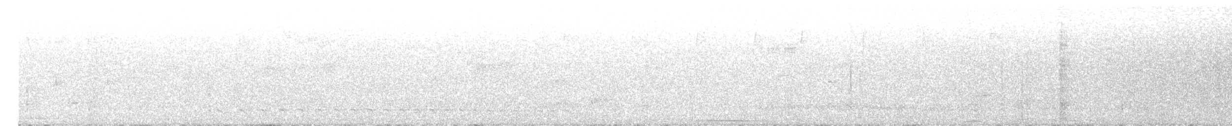 Trinidad Motmot - ML628543554