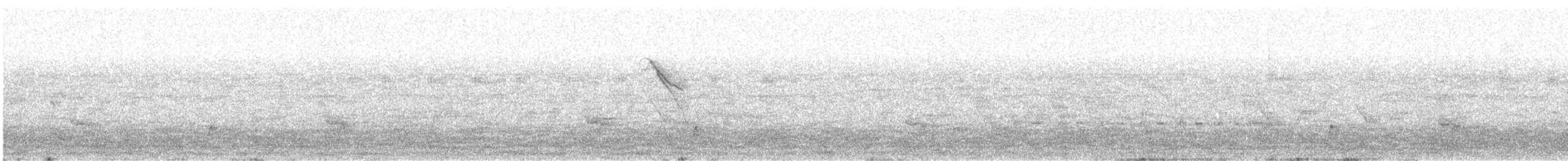 Swainson's Thrush - ML628546465