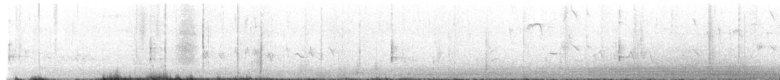 Schmalschnabel-Königstyrann - ML628557982