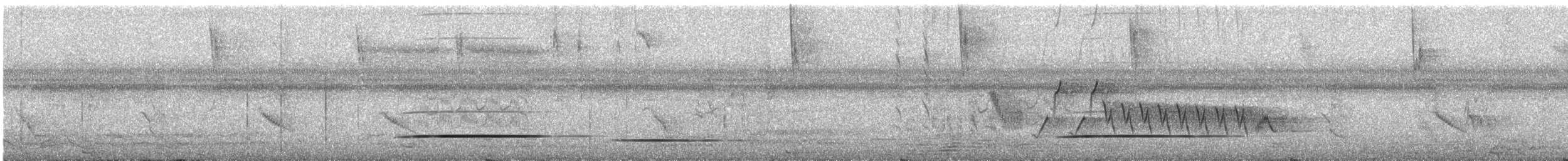 Cinereous Tinamou - ML628558264