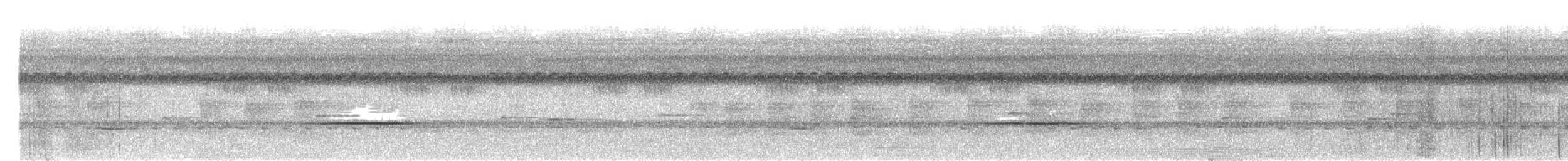 Pale-breasted Illadopsis - ML628558352
