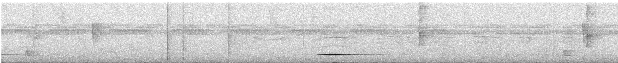 Cinereous Tinamou - ML628558866