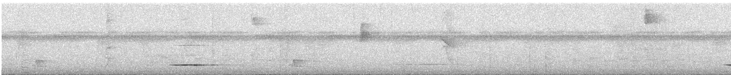 Cinereous Tinamou - ML628558867