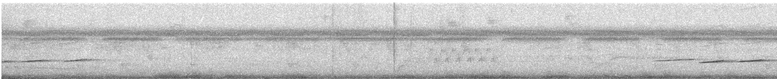 Striped Cuckoo - ML628559100