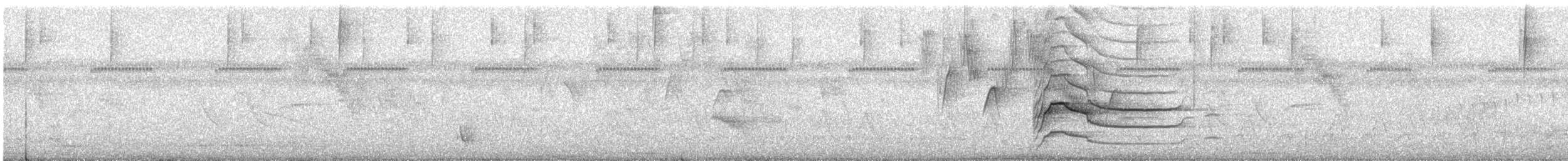 Roadside Hawk - ML628559209