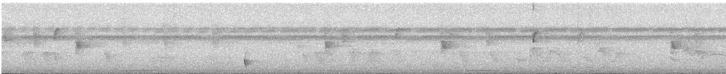 Barred Antshrike - ML628560033