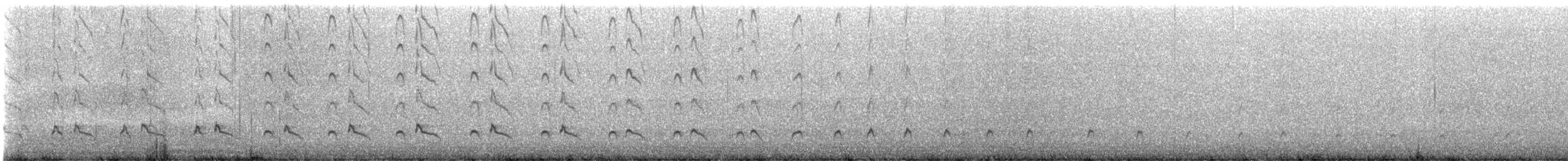 オーストラリアクロミヤコドリ - ML628583371